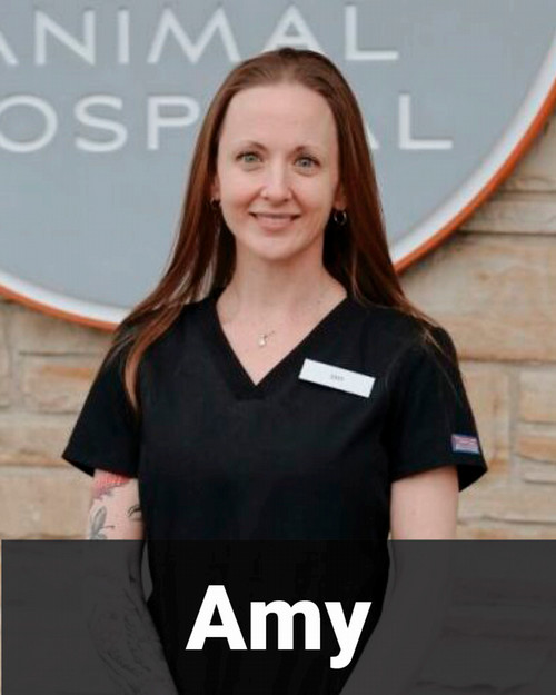 Amy 