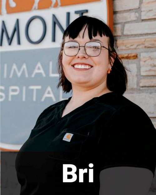 Bri