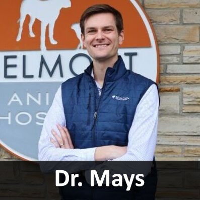 John Mays