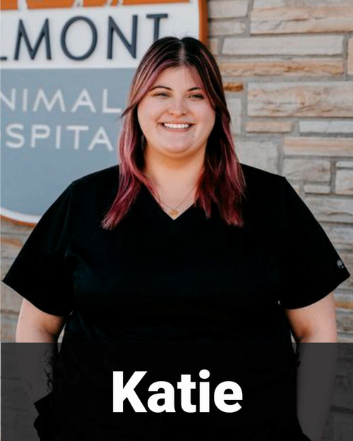 Katie 