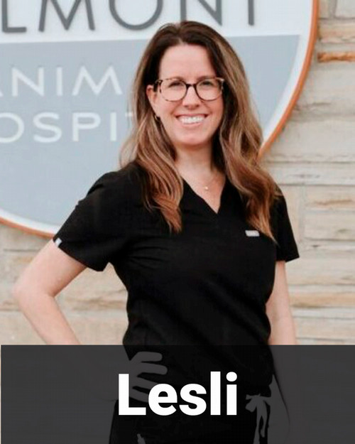 Lesli 