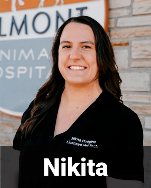 Nikita 