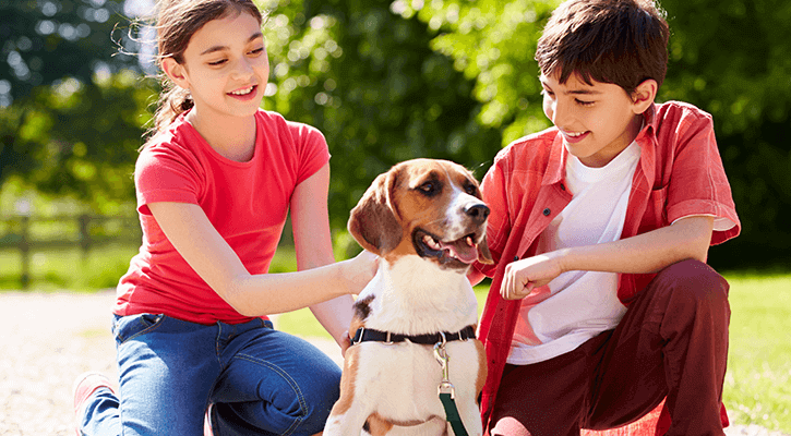 Young children petting a dog at a park