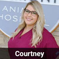Belmont Animal Hospital Staff - Courtney