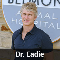 Belmont Animal Hospital Staff - Dr. Eadie