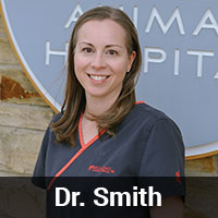 Belmont Animal Hospital Staff - Dr. Smith