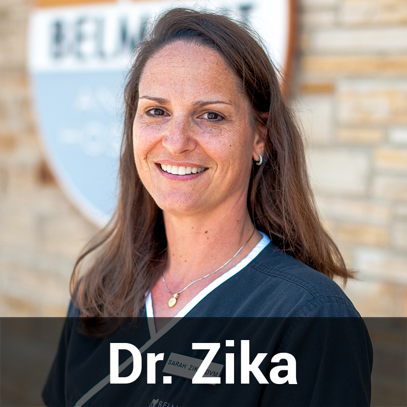 Belmont Animal Hospital Staff - Dr. Zika