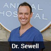 Belmont Animal Hospital Staff - Dr. Sewell