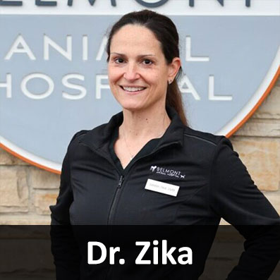 Dr-zika